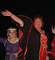 Ball der Narren 2009  039